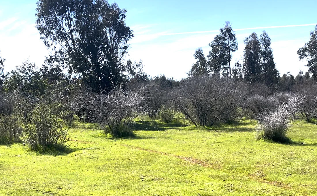 Vista natural de Hacienda San Nicol&aacute;s
